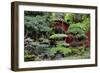 China 10MKm2 Collection - Bonsai Trees-Philippe Hugonnard-Framed Photographic Print