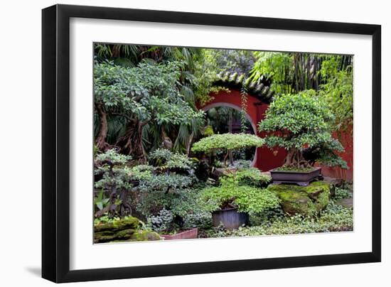 China 10MKm2 Collection - Bonsai Trees-Philippe Hugonnard-Framed Photographic Print