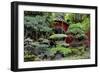 China 10MKm2 Collection - Bonsai Trees-Philippe Hugonnard-Framed Photographic Print