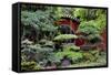 China 10MKm2 Collection - Bonsai Trees-Philippe Hugonnard-Framed Stretched Canvas