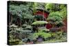 China 10MKm2 Collection - Bonsai Trees-Philippe Hugonnard-Stretched Canvas