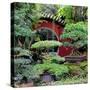 China 10MKm2 Collection - Bonsai Trees-Philippe Hugonnard-Stretched Canvas