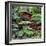 China 10MKm2 Collection - Bonsai Trees-Philippe Hugonnard-Framed Photographic Print