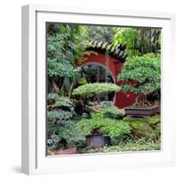 China 10MKm2 Collection - Bonsai Trees-Philippe Hugonnard-Framed Photographic Print