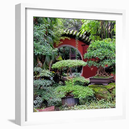 China 10MKm2 Collection - Bonsai Trees-Philippe Hugonnard-Framed Photographic Print