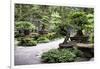 China 10MKm2 Collection - Bonsai Trees-Philippe Hugonnard-Framed Photographic Print