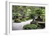 China 10MKm2 Collection - Bonsai Trees-Philippe Hugonnard-Framed Photographic Print