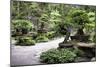 China 10MKm2 Collection - Bonsai Trees-Philippe Hugonnard-Mounted Photographic Print