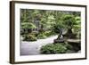 China 10MKm2 Collection - Bonsai Trees-Philippe Hugonnard-Framed Photographic Print