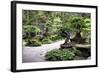 China 10MKm2 Collection - Bonsai Trees-Philippe Hugonnard-Framed Photographic Print