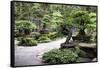 China 10MKm2 Collection - Bonsai Trees-Philippe Hugonnard-Framed Stretched Canvas