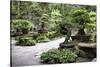 China 10MKm2 Collection - Bonsai Trees-Philippe Hugonnard-Stretched Canvas