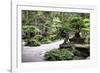 China 10MKm2 Collection - Bonsai Trees-Philippe Hugonnard-Framed Photographic Print