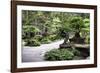 China 10MKm2 Collection - Bonsai Trees-Philippe Hugonnard-Framed Photographic Print