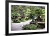 China 10MKm2 Collection - Bonsai Trees-Philippe Hugonnard-Framed Photographic Print