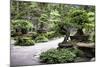 China 10MKm2 Collection - Bonsai Trees-Philippe Hugonnard-Mounted Photographic Print