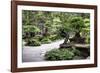 China 10MKm2 Collection - Bonsai Trees-Philippe Hugonnard-Framed Photographic Print