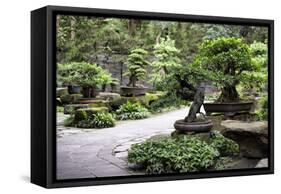 China 10MKm2 Collection - Bonsai Trees-Philippe Hugonnard-Framed Stretched Canvas