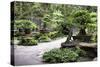 China 10MKm2 Collection - Bonsai Trees-Philippe Hugonnard-Stretched Canvas