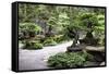 China 10MKm2 Collection - Bonsai Trees-Philippe Hugonnard-Framed Stretched Canvas