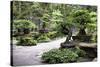 China 10MKm2 Collection - Bonsai Trees-Philippe Hugonnard-Stretched Canvas