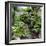 China 10MKm2 Collection - Bonsai Trees-Philippe Hugonnard-Framed Photographic Print