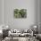 China 10MKm2 Collection - Bonsai Trees-Philippe Hugonnard-Stretched Canvas displayed on a wall