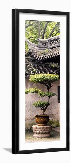 China 10MKm2 Collection - Bonsai-Philippe Hugonnard-Framed Photographic Print