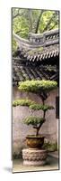 China 10MKm2 Collection - Bonsai-Philippe Hugonnard-Mounted Photographic Print