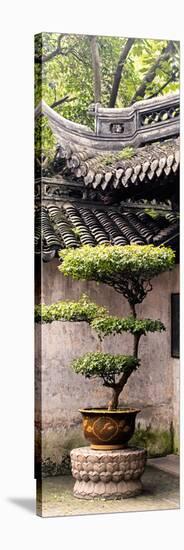 China 10MKm2 Collection - Bonsai-Philippe Hugonnard-Stretched Canvas