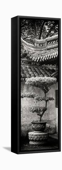 China 10MKm2 Collection - Bonsai-Philippe Hugonnard-Framed Stretched Canvas