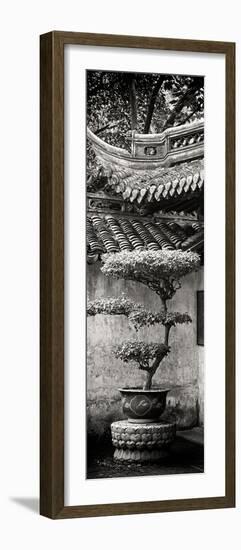 China 10MKm2 Collection - Bonsai-Philippe Hugonnard-Framed Photographic Print