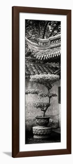 China 10MKm2 Collection - Bonsai-Philippe Hugonnard-Framed Photographic Print