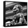 China 10MKm2 Collection - Bronze Chinese Lion in Forbidden City-Philippe Hugonnard-Framed Stretched Canvas