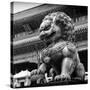 China 10MKm2 Collection - Bronze Chinese Lion in Forbidden City-Philippe Hugonnard-Stretched Canvas