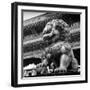 China 10MKm2 Collection - Bronze Chinese Lion in Forbidden City-Philippe Hugonnard-Framed Photographic Print