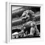 China 10MKm2 Collection - Bronze Chinese Lion in Forbidden City-Philippe Hugonnard-Framed Photographic Print