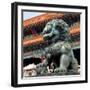 China 10MKm2 Collection - Bronze Chinese Lion in Forbidden City-Philippe Hugonnard-Framed Premium Photographic Print