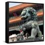 China 10MKm2 Collection - Bronze Chinese Lion in Forbidden City-Philippe Hugonnard-Framed Stretched Canvas