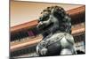 China 10MKm2 Collection - Bronze Chinese Lion in Forbidden City-Philippe Hugonnard-Mounted Photographic Print