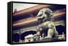 China 10MKm2 Collection - Bronze Chinese Lion in Forbidden City-Philippe Hugonnard-Framed Stretched Canvas