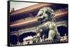 China 10MKm2 Collection - Bronze Chinese Lion in Forbidden City-Philippe Hugonnard-Framed Stretched Canvas