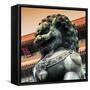 China 10MKm2 Collection - Bronze Chinese Lion in Forbidden City-Philippe Hugonnard-Framed Stretched Canvas