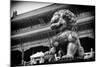 China 10MKm2 Collection - Bronze Chinese Lion in Forbidden City-Philippe Hugonnard-Mounted Photographic Print