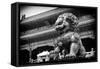 China 10MKm2 Collection - Bronze Chinese Lion in Forbidden City-Philippe Hugonnard-Framed Stretched Canvas