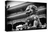 China 10MKm2 Collection - Bronze Chinese Lion in Forbidden City-Philippe Hugonnard-Stretched Canvas