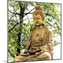 China 10MKm2 Collection - Buddha-Philippe Hugonnard-Mounted Premium Photographic Print