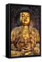 China 10MKm2 Collection - Buddha-Philippe Hugonnard-Framed Stretched Canvas