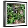 China 10MKm2 Collection - Buddhist Fountain-Philippe Hugonnard-Framed Photographic Print