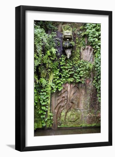 China 10MKm2 Collection - Buddhist Fountain-Philippe Hugonnard-Framed Photographic Print